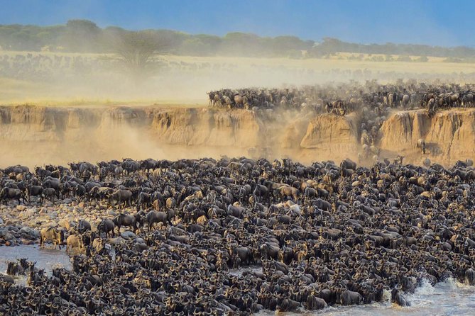 4 days safari in Tanzania - What the itinerary feels like in real time, day by day