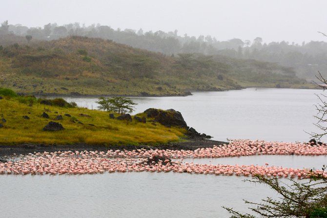 4 days Safari Lake Manyara, Ngorongoro crater and Serengeti - Price and value: $2,650 per person, what it covers, and what to budget