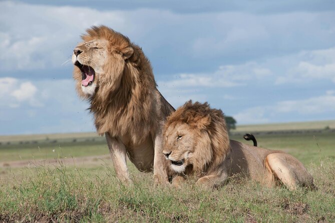 4 Days Safari Tour at Tarangire, Serengeti and Ngorongoro Crater - Key Highlights to Know Before You Go