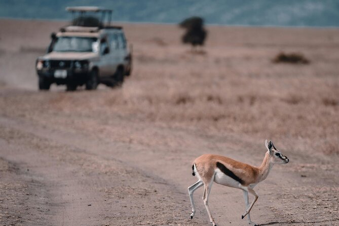 4 Days Safari Tour at Tarangire, Serengeti and Ngorongoro Crater - The Included Comforts That Matter More Than You Think