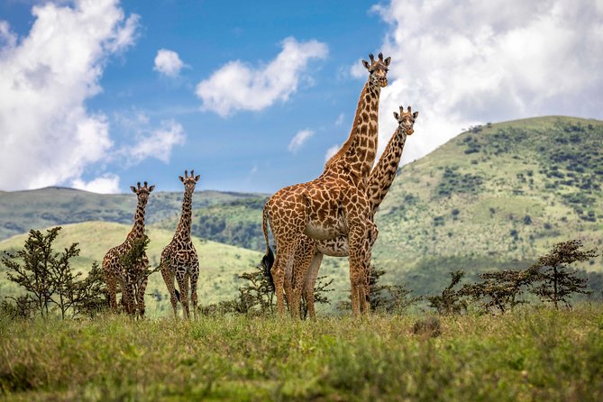 4 Days safari Tour Tanzania - Entering Northern Tanzania on a tight 4-day route