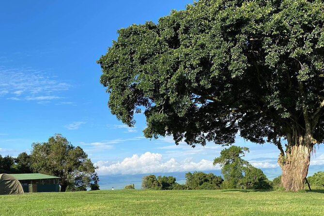 4 Days safari Tour Tanzania - Day 3 6 am sunrise in Serengeti, bush breakfast, then Ngorongoro