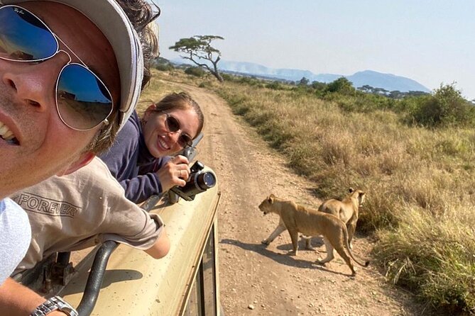 4 Days safari Tour Tanzania - What you are really paying for: guides, spotting skill, and camp cooking