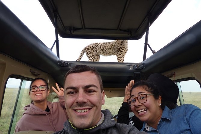 4 Days safari Tour Tanzania - Price and value: $1,650 for 4 days of parks, meals, and gear
