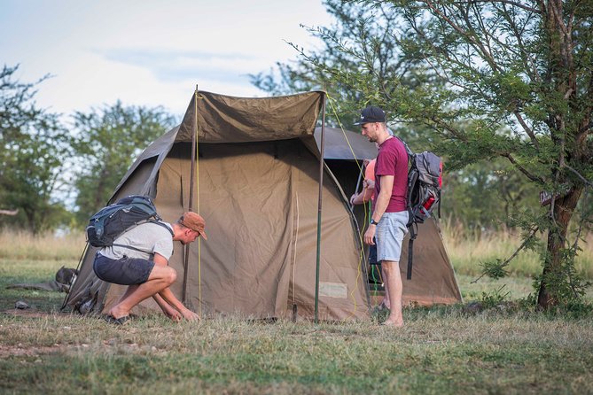4 Days safari Tour Tanzania - Day 1 Tarangire National Park, elephants, baobabs, and river wildlife