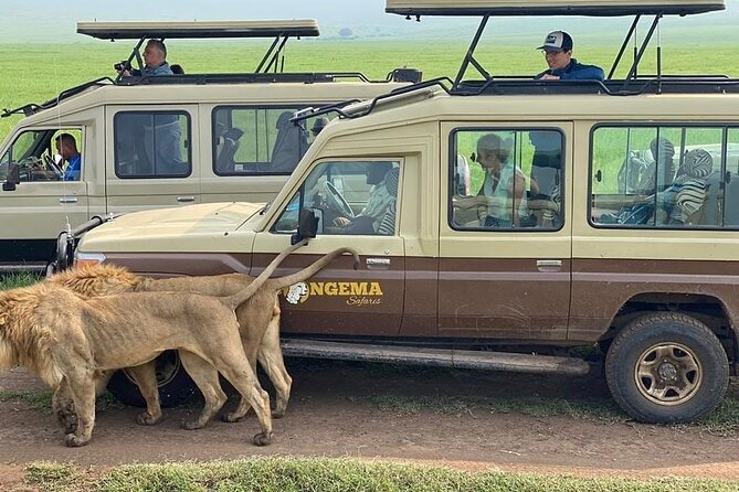 4 Days Serengeti, Ngorongoro and Tarangire Safari - Day 1 Tarangire National Park: elephants and birds in a quieter rhythm
