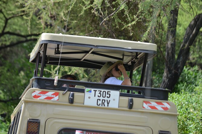 4 days serengeti & ngorongoro mid range tour - Your Guide and Vehicle Time: How You Get Better Wildlife Odds
