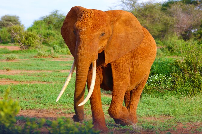 4 Days Tanzania Budget Group Join Safari- Serengeti & Ngorongoro - Four Days Of Serengeti And Ngorongoro: What This Safari Gets Right