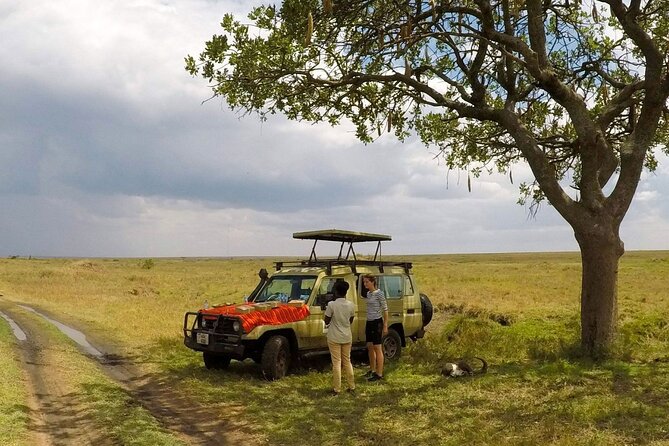 4 Days Tanzania Budget Safari - Day 3 down into Ngorongoro Crater: the best odds for Big Five sightings