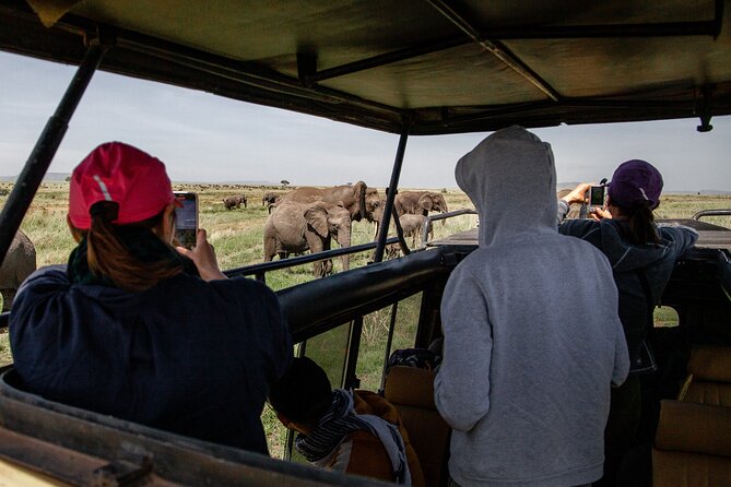 4 Days Tanzania Budget Safari - Park fees, meals, and what is actually included in your $1,320
