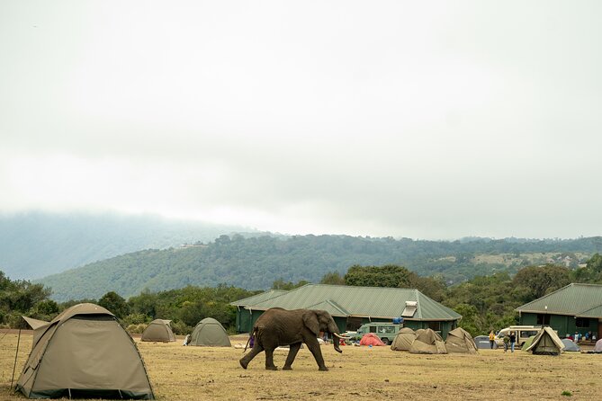 4 Days Tanzania Budget Safari - Camping Comfort on a Real-World Budget