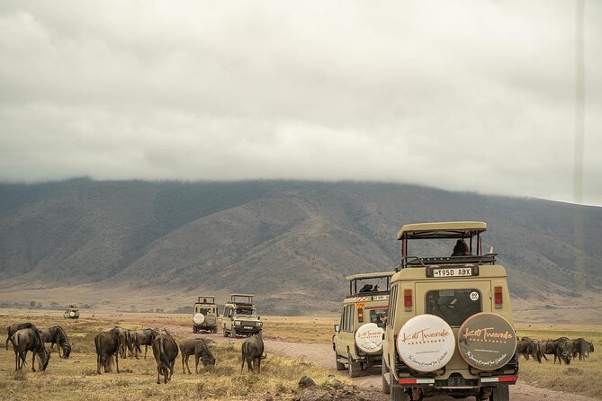 4 Days Tanzania Budget Safari - Price and Value: What $1,408 Really Buys