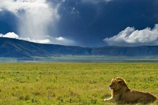 4 days Tanzania Camping Safari - Camping Comfort and Ranger Protection: The Practical Side