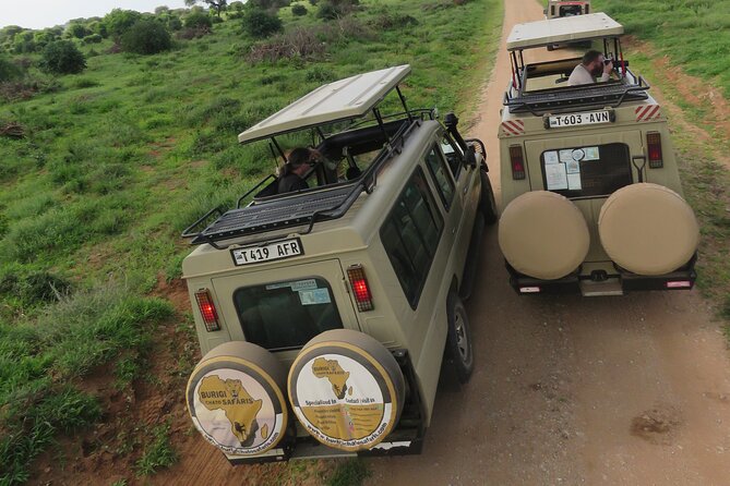 4 Days Tanzania Group Joining Safari with Mid-range Accommodation - Day 4: Ngorongoro Crater Floor Descent and Big Five Viewing