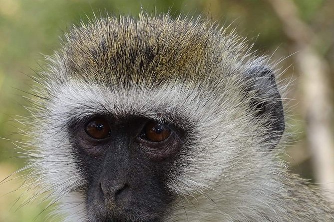4 Days Tanzania Luxury Safari - First Stop: Arusha to Lake Manyara’s Soda-Lake World