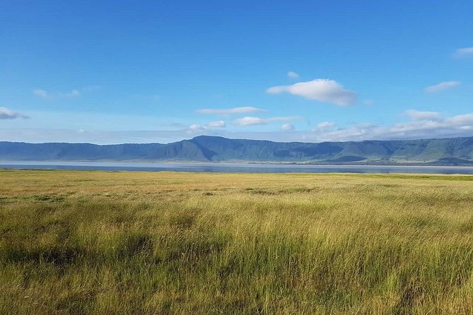 4 Days Tanzania Luxury Safari - How the Guides and Drivers Change the Whole Trip