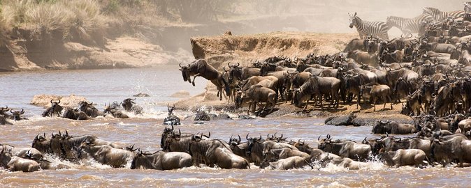 4 Days Tanzania Luxury Safari Serengeti and Ngorongoro Crater - Day 1: Arusha to Serengeti, the 8AM start that saves your wildlife time