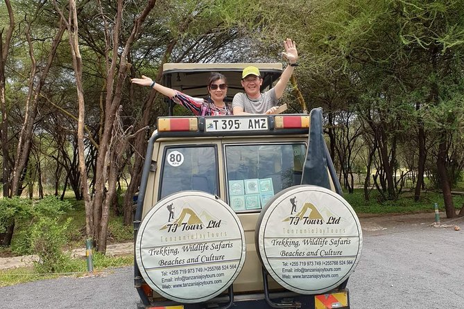 4 Days Tanzania Luxury Safari - Serengeti Plains: 14,500 Square Kilometers of Real-Deal Safari