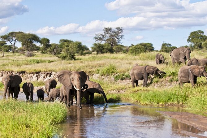 4 Days Tanzania National Parks Private Safari from Zanzibar - What You Really Get for $2,150: Value, Inclusions, and Who This Fits