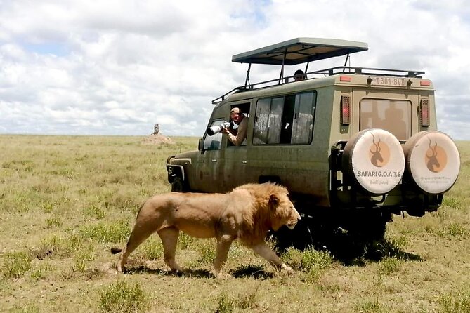 4 Days Tanzania Private Lodge Safari - The Drive to Serengeti via Ngorongoro: A Crater View Before You Go Down