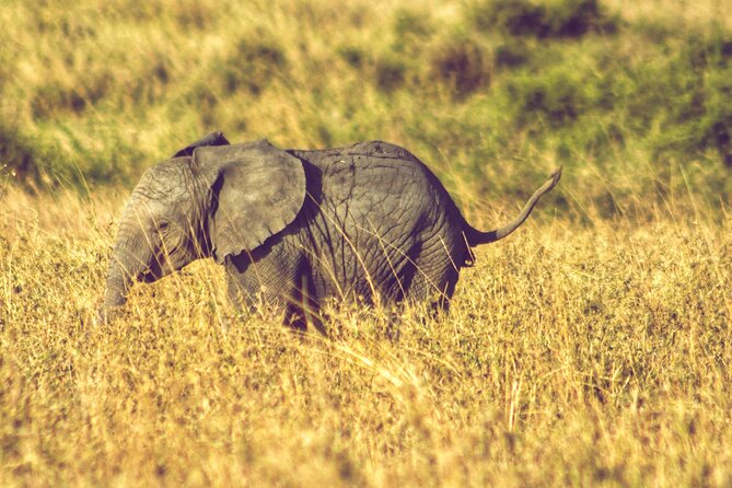 4 Days Tanzania Safari - What to pack, based on the conditions this route signals