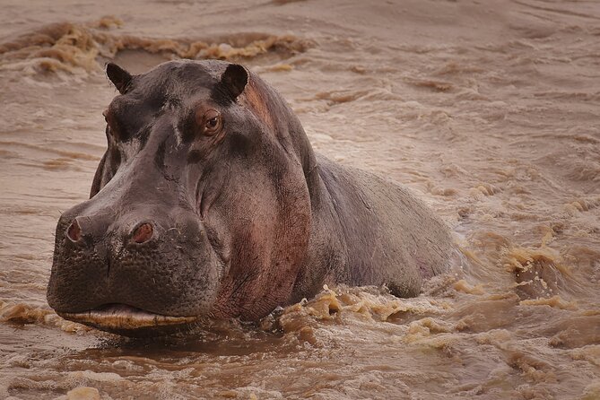 4 Days Tanzania Safari - Money, Meals, and Value: What You Pay and What You Get