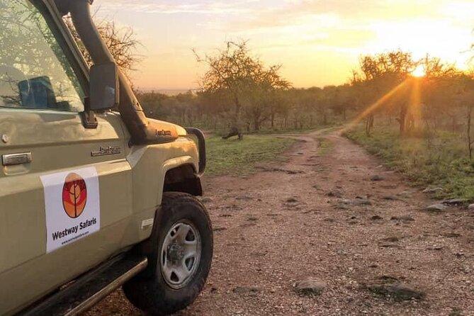 4 Days Tanzania Safari Experience - Arusha Setup: Start Smoothly With an Airport Pickup