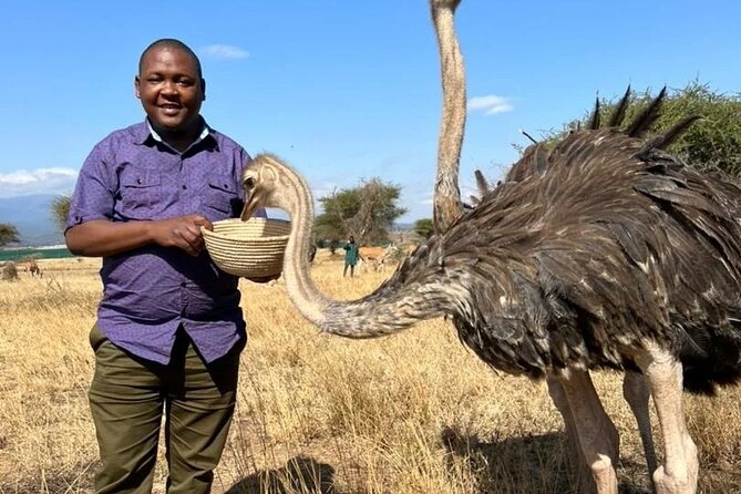 4 Days Tanzania Safari Tarangire, Serengeti and Ngorongoro Crater - Day 4: 5 to 6 Hours on the Crater Floor, Then Back to Arusha