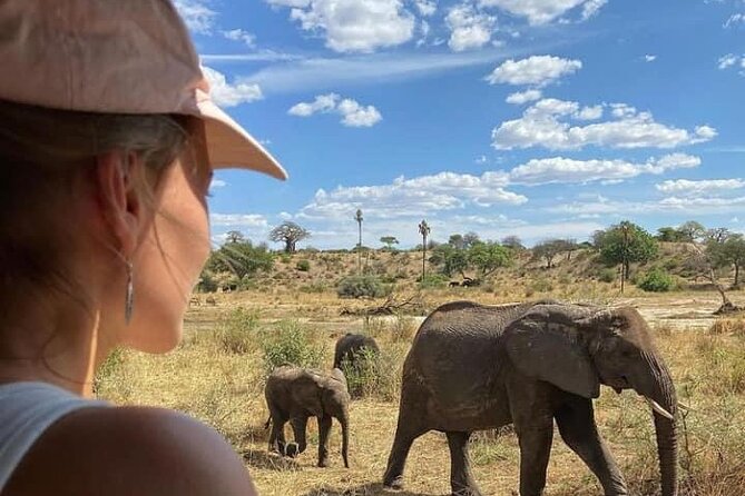 4 Days Tanzania Safari Tour - Arusha pickup and the Great Rift Valley drive that sets the tone