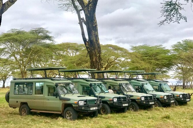 4 Days Tanzania Safari Tour - Price and value: what $2,395 covers in Tanzania