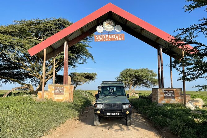 4 days Tarangire National park, Serengeti National park and Ngorongoro crater - Day 3 Full Day in Serengeti, When the Plains Do the Talking