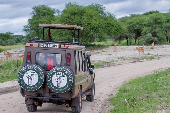 4 Days Tarangire , Ngorongoro ,Manyara and lake Eyasi village - Ngorongoro Conservation Area: Big Five in a 600-Meter Crater Bowl