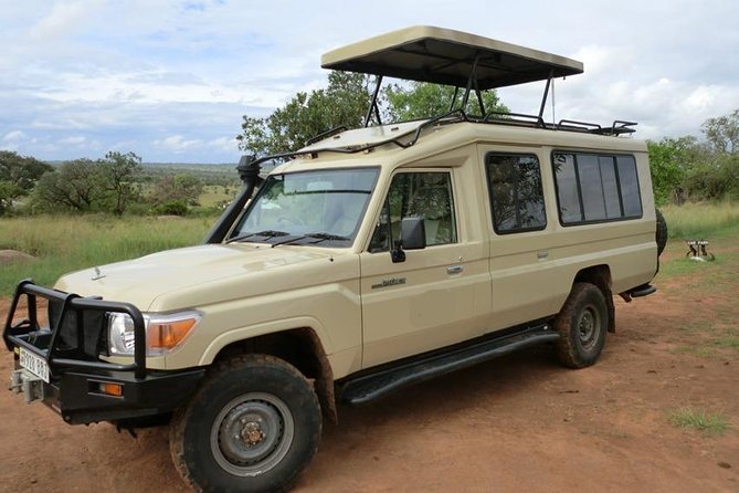 4 days Tarangire, Serengeti & Ngorongoro - Tarangire National Park: elephants, river life, and a picnic lunch rhythm