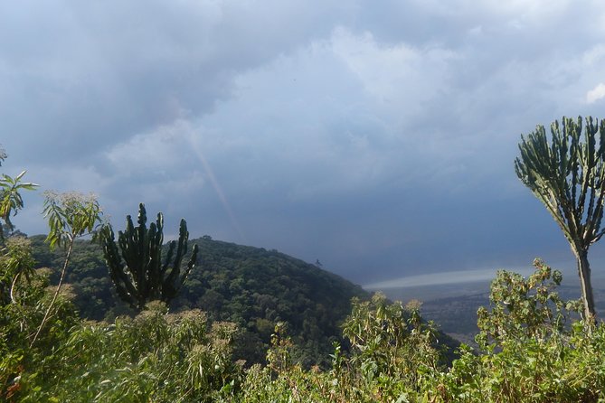 4 days Tarangire, Serengeti & Ngorongoro - The guide and chef factor: small details that can make or break days
