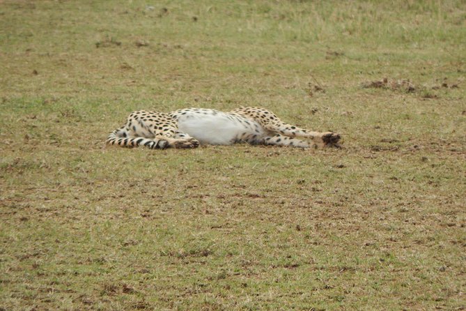 4 days Tarangire, Serengeti & Ngorongoro - What to pack for this camping Big Five run