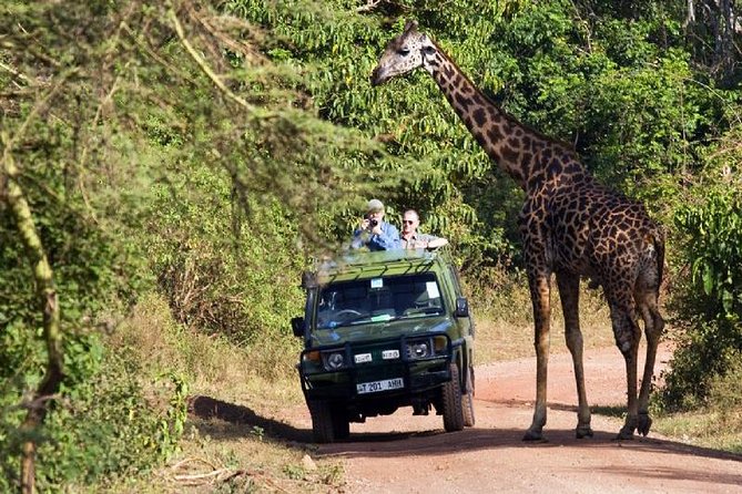 4 Days Tarangire Serengeti Ngorongoro Crater - Price and Value: Why $900 Can Feel Fair for a 4-Day Circuit