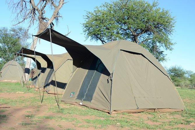 4 Days Tarangire ,Serengeti &Ngorongoro crater group Tour - Guides and Service: What the Reviews Suggest About Real-World Quality