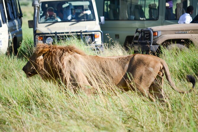 4 Days Tarangire ,Serengeti &Ngorongoro crater group Tour - Price and Logistics: Is $890 Per Person Good Value?