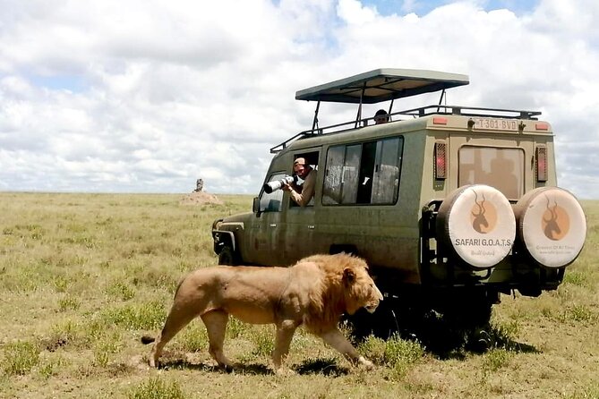 4 Days Tarangire, Serengeti & Ngorongoro Crater Joining Group - The guide factor: Safari G.O.A.T.S and Eddy’s planning touch