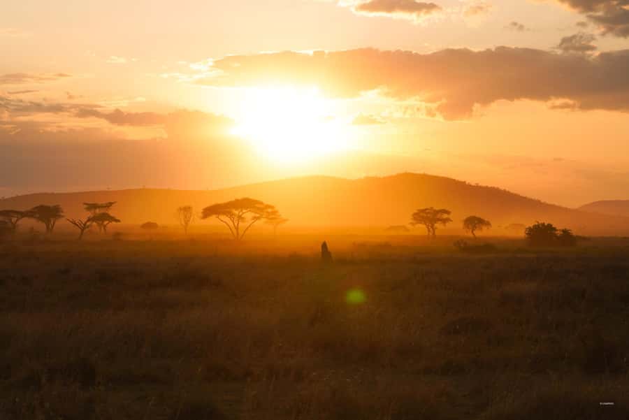 4 Days Tarangire, Serengeti, Ngorongoro Mid-range Safari - Why Tarangire, Serengeti, and Ngorongoro in 4 Days Works