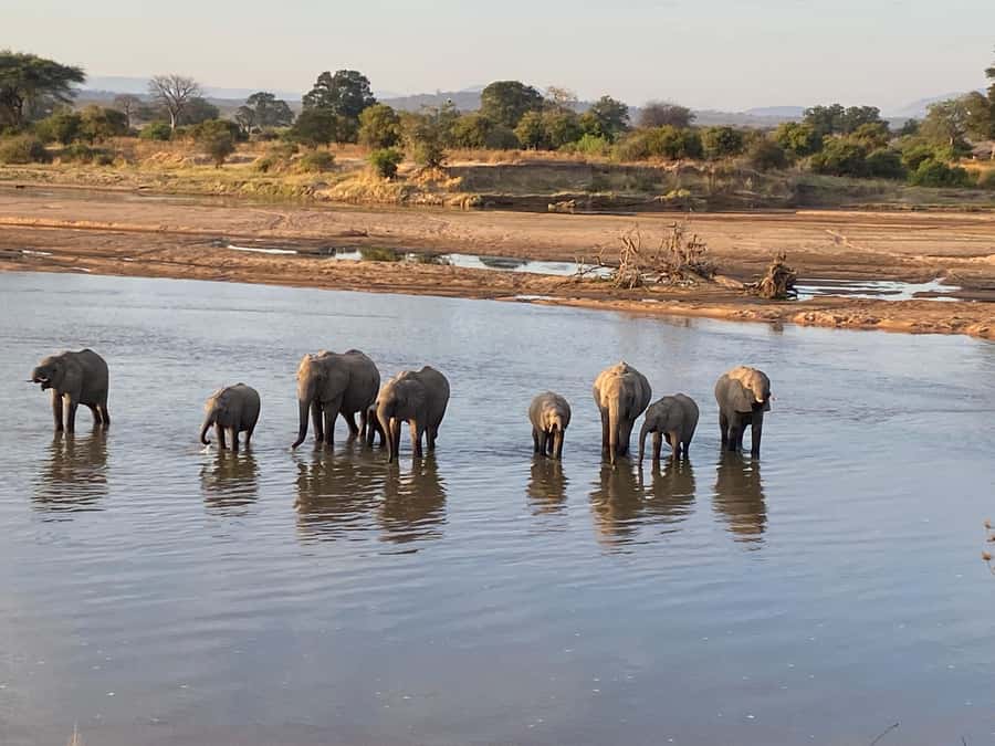 4 Days Tarangire, Serengeti, Ngorongoro Mid-range Safari - Mid-range Comfort: Lodges, Tent Camps, Meals, and the 4x4 Reality