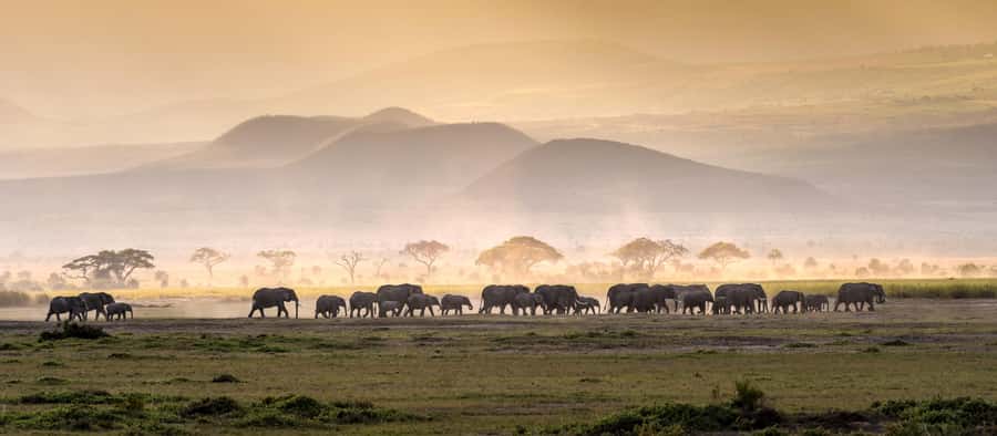 4 Days Tarangire, Serengeti, Ngorongoro Mid-range Safari - Day 1: Arusha to Tarangire for Elephants, Baobabs, and Two Drive Chances