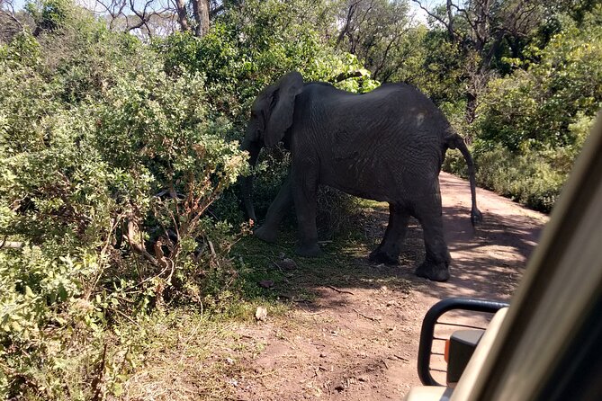 4-Days Tour to Tanzania National parks - Should You Book This 4-Day Safari?