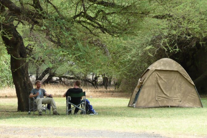4 Days Wildlife Safari and Cultural Experience in Tanzania - Tarangire National Park: The Elephant Playground Starts Early