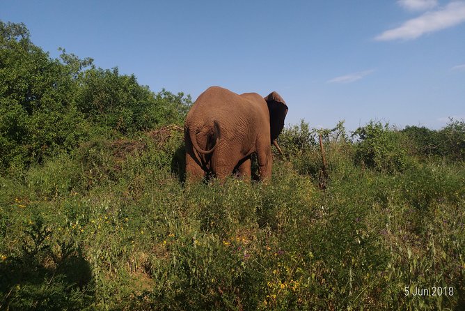 4day's Safari - Moshi or Arusha Pickup and the 8:00 AM Start That Sets the Tone