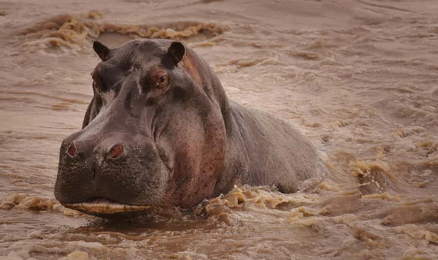 5-day Affordable Joint Group Safari (with Extra Activities) - Key points before you go