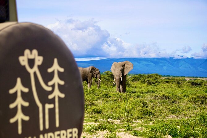 5-Day Mid-Range Safari in Tanzania - Ngorongoro Crater and Olduvai Gorge: Big Five odds