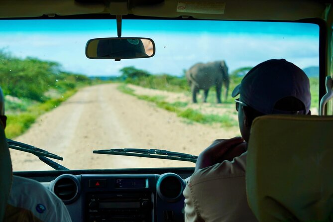 5-Day Mid-Range Safari in Tanzania - Mid-range comfort: meals, lodges, and downtime