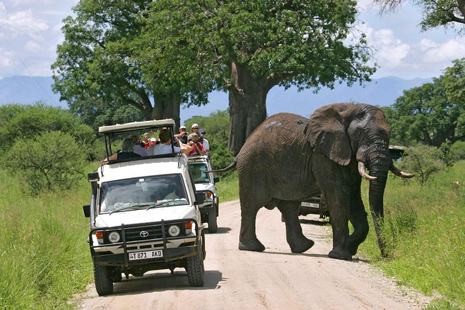 5-Day Mikumi & Ruaha Tanzania Wildlife Lodge Safari - Day 2 to Ruaha via Iringa: a driving day that buys you more wildlife time