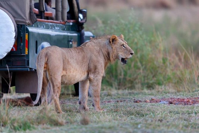5-Day Mikumi & Ruaha Tanzania Wildlife Lodge Safari - Day 5 Isimila Stone Age Site, then back to Dar es Salaam